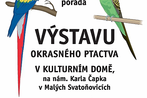 Výstava okrasného ptactva v Malých Svatoňovicích