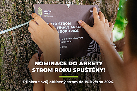 Nominace do ankety Strom roku jsou tu!