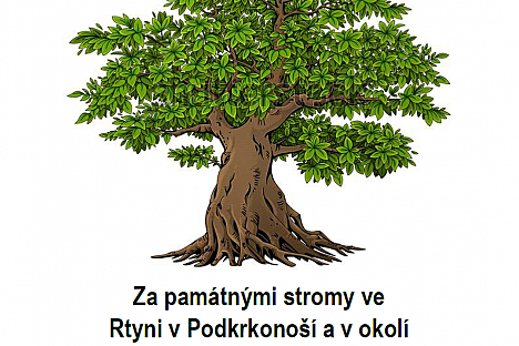 Za památnými stromy...